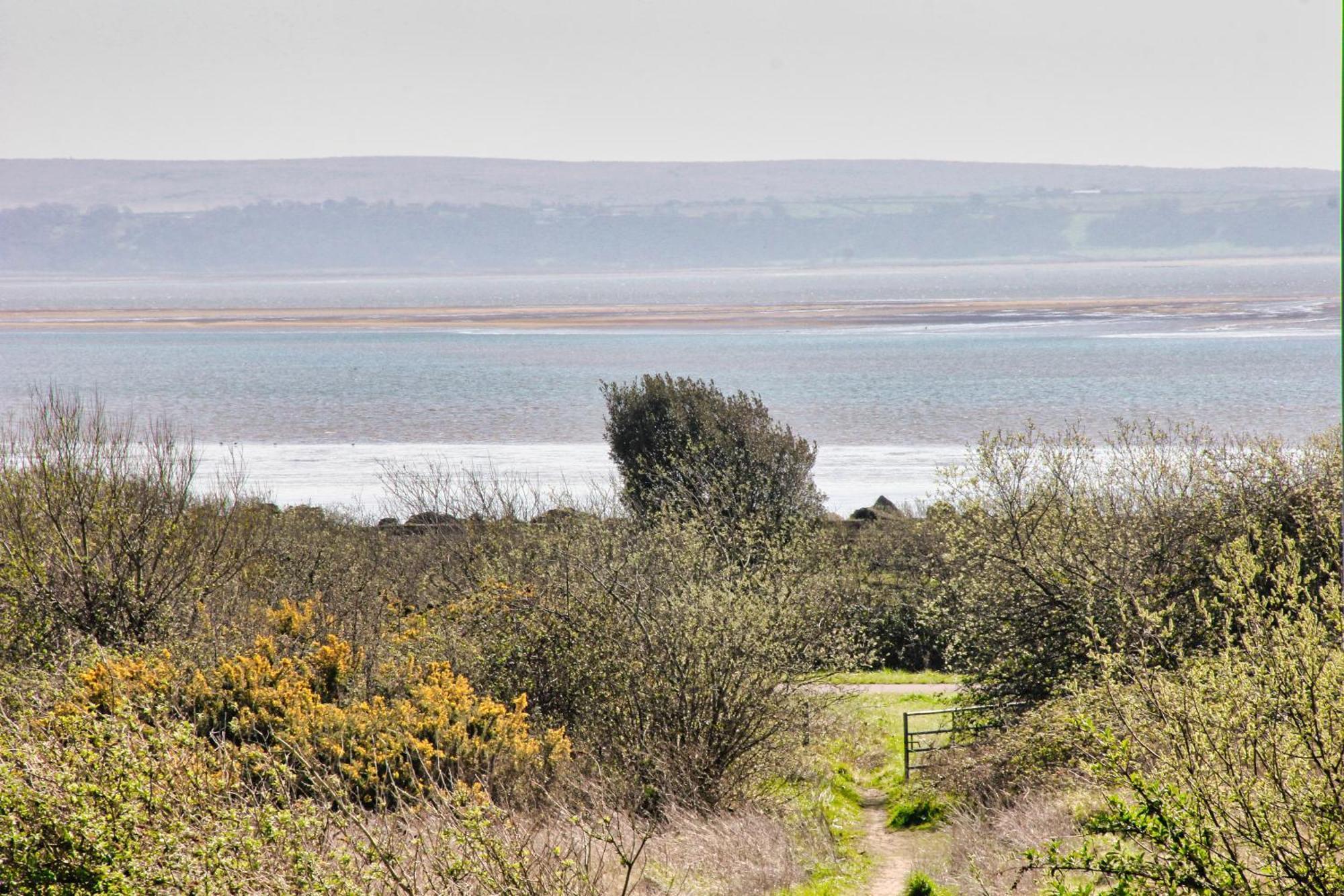 Blue Rose Cottage Burry Port Rom bilde